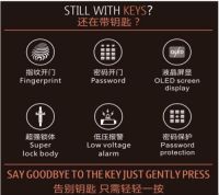48小时完成京东众筹，ICCSSI智能门锁跃身成为行业黑马