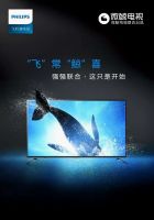 飞利浦黑马当道，外资品牌份额缓跌