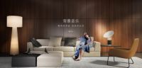 阿米纳隐形音响：双11盛典·完美行动 成双才完美