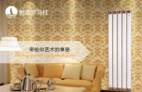 勃森为您专业解答：集中供暖选哪种材质的暖气片好？