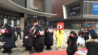 今天一大波熊本熊跟着一只浪人在武汉浪，你有遇到吗？