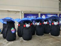 今天一大波熊本熊跟着一只浪人在武汉浪，你有遇到吗？