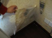 壁纸发霉？太可怕了