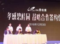 碧桂园的年末“互联网+”实验：打造智慧社区