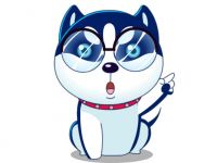 有种，放狗过来；没狗，少来这套。