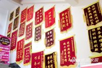 马宏玥：套餐无套 我愿做公司老年人