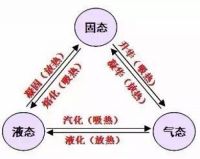 能够改变制冷业的无压缩机酒柜将上市