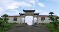 探访中国对节白蜡第一园