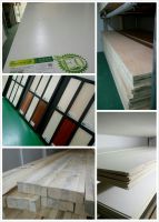 泰尔美·板材江苏东海县专卖店盛大开业，开启健康家装新体验