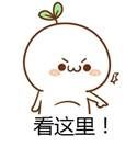 网曝羽泉受联邦家私之邀12月10日广州开唱