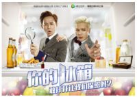 长城奖喜落美的冰箱&冷柜，创意营销巧入人心
