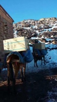 海尔洗衣机借中高端转型创生摩洛哥新市场