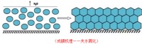 你想不到的优秀防水涂料 ——防水防护二合一