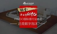 调查：年销售65亿 PINGO国际是行业奇迹还是数字泡沫？