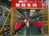大角鹿窑炉点火投产 钻石釉引领大理石瓷砖进入超耐磨时代