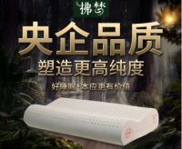 拂梦乳胶枕——越南美女博士的中国创业路