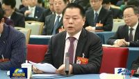 李克强参加政协联组会 月星集团丁佐宏作工商联界代表发言