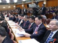 李克强参加政协联组会 月星集团丁佐宏作工商联界代表发言
