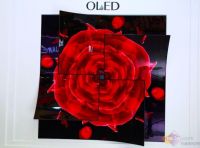 LG Display获艾普兰核芯奖，OLED电视获大众行业权威认可