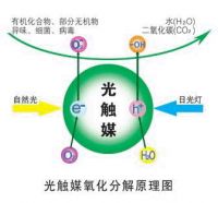 甲醛治理选知名品牌就放心了？业内人士为您揭开除醛真相