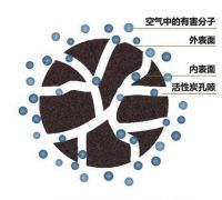 甲醛治理选知名品牌就放心了？业内人士为您揭开除醛真相