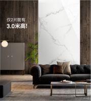 陶元帅IMAX大板，重新定义你的背景墙