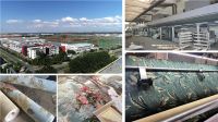 爱漫时受邀参加“2019新浪家居·意大利设计先锋行”