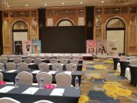 新浪直播|飞雕全国新品发布会哈尔滨站