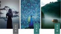 原石+大板,蒙娜丽莎2019新品上市
