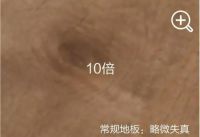 地板界“钻石王老五”，贝尔2019新品创意发布