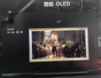 LG Display亮相 CITE 2019 真正的中国OLED时代来临