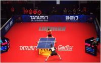 门里门外各自热闹 却为何非要和TATA易起看世乒？