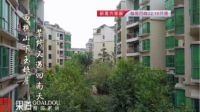果道整装:70平方“霉菌屋”如何巧变舒适安乐窝?