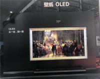 LGD高规荣：OLED将改变行业规则，创造新的价值