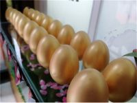 飞宇门窗德阳店品质中国行活动！“F6”项目初显峥嵘！