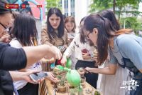 征战沙漠！大自然家居即将开启第13个年头的公益植树之旅！