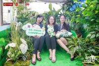 征战沙漠！大自然家居即将开启第13个年头的公益植树之旅！