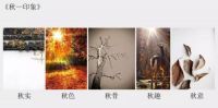 仟玺国际丨刘洋：用设计谱写艺术与灵魂的盛宴
