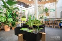Green Friday全国首创绿色健康生活主题店亮相上海