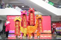商都路家居商圈再添一座MALL  月星家居盛大开业