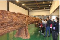 元鸿家居—2019店长导购特训营活动圆满成功
