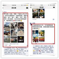 继各类夸夸群之后，“名雕夸夸群”也火了！