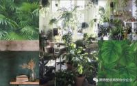 朗饰2019-2020潮流趋势—GREENDAY 绿色生机