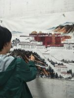 居家欣赏：画家赵晓燕原创国画布达拉宫