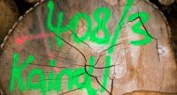 第50个世界地球日 | 凯得地板唤醒自然力量，共筑品质生活