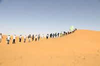 自然力量，一“植”向前  大自然家居潜心公益植树13年