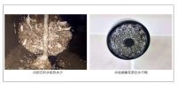 老旧电热水器6大隐患,海尔热推“拆旧换新”大行动