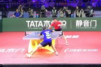 不忘初心的热爱与专注 马龙与TATA木门的世乒赛逐梦之旅