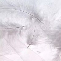 【YASLAN】雅诗澜—“羽毛”带你走进时尚国度
