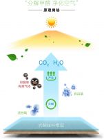 福力得地板丨净醛抗菌，拒绝旷代的忧伤